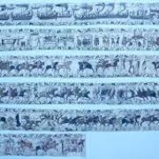 Combien de chevaux sont représentés sur la tapisserie de Bayeux?