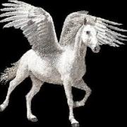 Dans la mythologie grecque comment s'appelle le fameux cheval ailé?